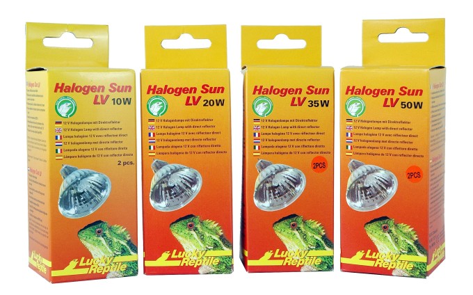 Lucky Reptile Halogen Sun LV 20W - Double Pack