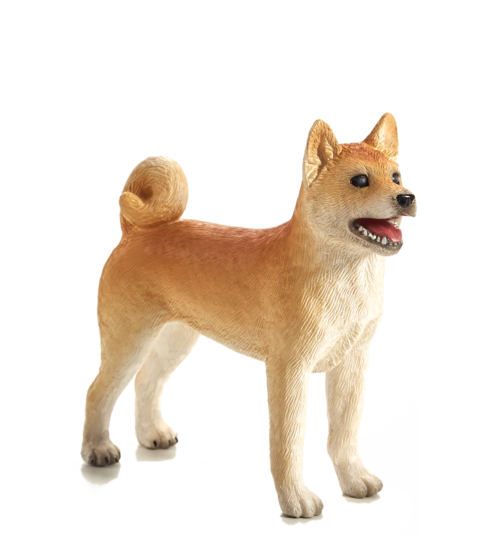 Mojo Pes Shiba Inu