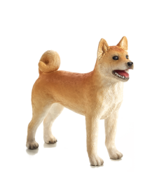 Mojo Pes Shiba Inu